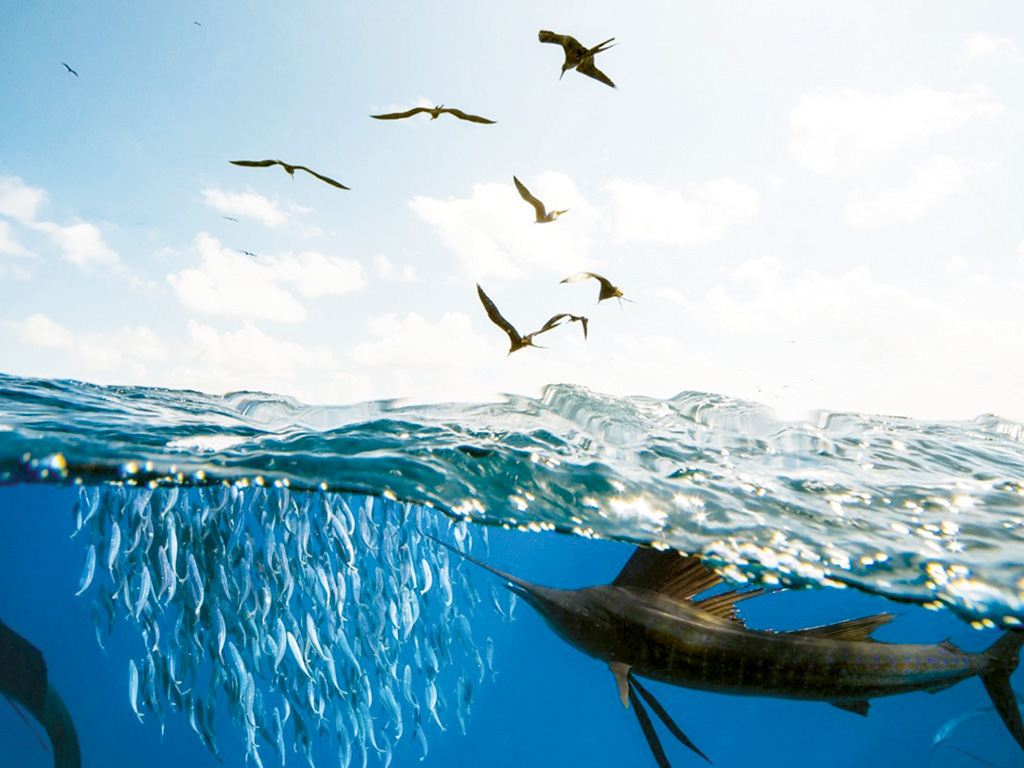 Deep dive into sustainability